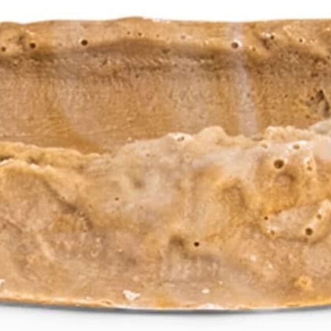 Flukers Fluker's Repta Bowl - X Small