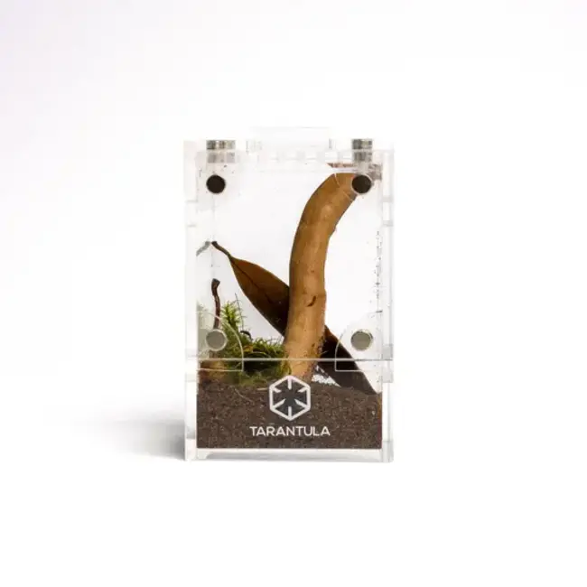 Tarantula Cribs Treehouse Mini 2x2x3 Front Opening Tarantula Cribs