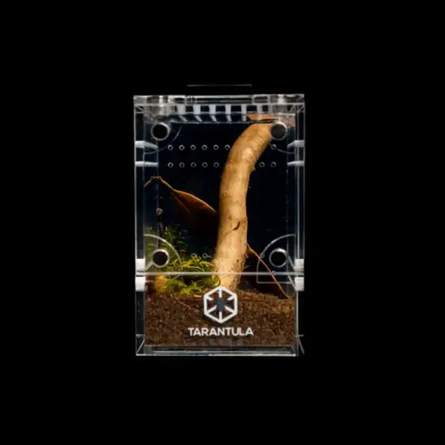 Tarantula Cribs Treehouse Mini 2x2x3 Front Opening Tarantula Cribs