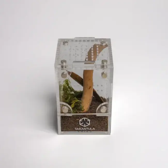 Tarantula Cribs Treehouse Mini 2x2x3 Front Opening Tarantula Cribs