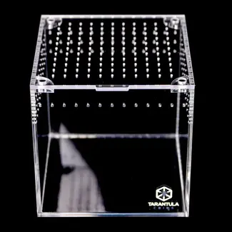 Tarantula Cribs Drilled Acrylic Mesh Top Lid for 4" Cube/Switch Tarantula Cribs