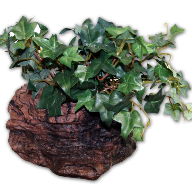 Pet-Tekk MagNaturals Planter Ledge - Small, EARTH
