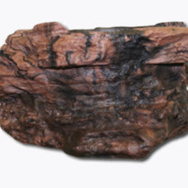 Pet-Tekk MagNaturals Planter Ledge - Small, EARTH