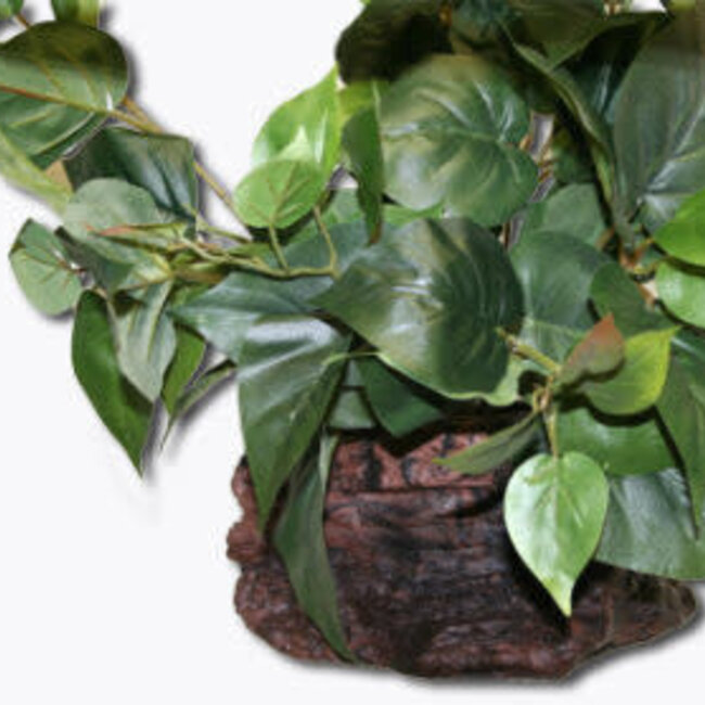 Pet-Tekk MagNaturals Planter Ledge - Small, EARTH