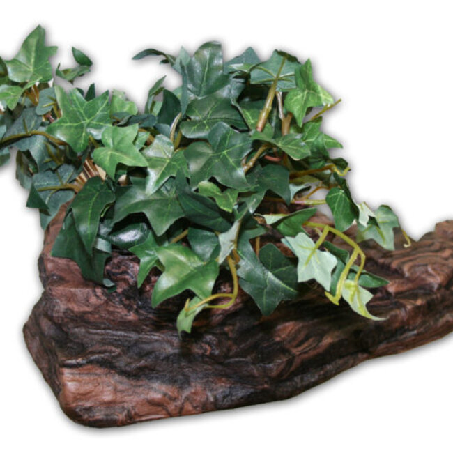 Pet-Tekk MagNaturals Planter Ledge - Medium, EARTH