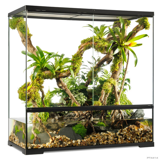 Exo Terra Pro 36x18x36" Paludarium Large X-Tall Terrarium