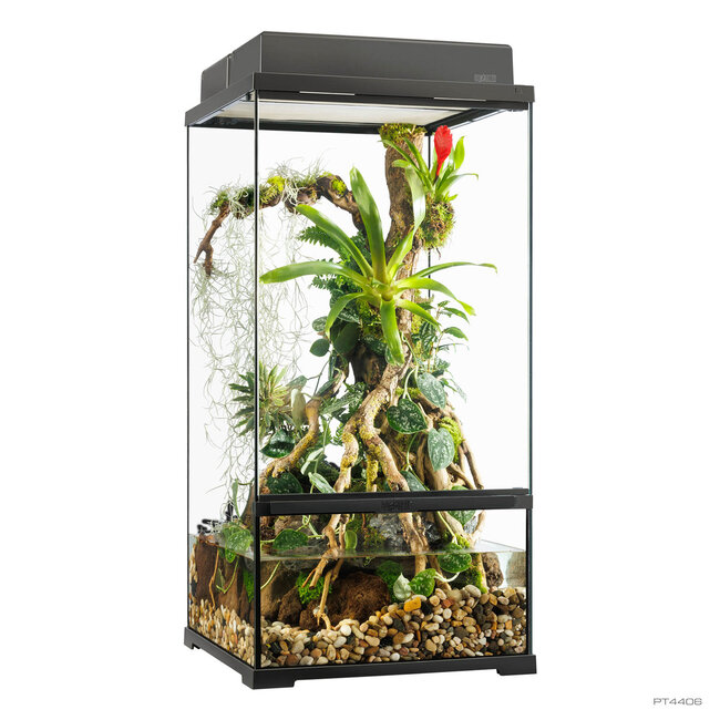Exo Terra Exo Terra Pro 18x18x36" Paludarium Small X-Tall Terrarium