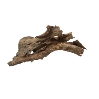 Jurassic Black Aqua Wood 18 - 24"