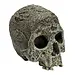 Human Skull Hide Out textured