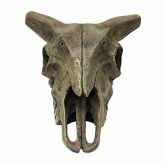 Komodo Deer Skull Habitat Decoration Hide