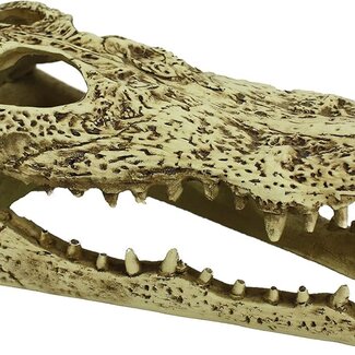 Komodo Alligator Skull Habitat Decoration Hide