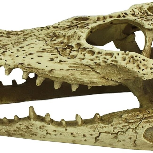 Komodo Alligator Skull Habitat Decoration Hide
