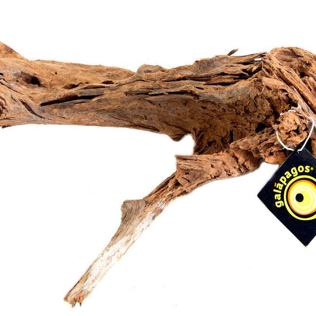Galapagos Galapagos Sinkable Driftwood 14-16"