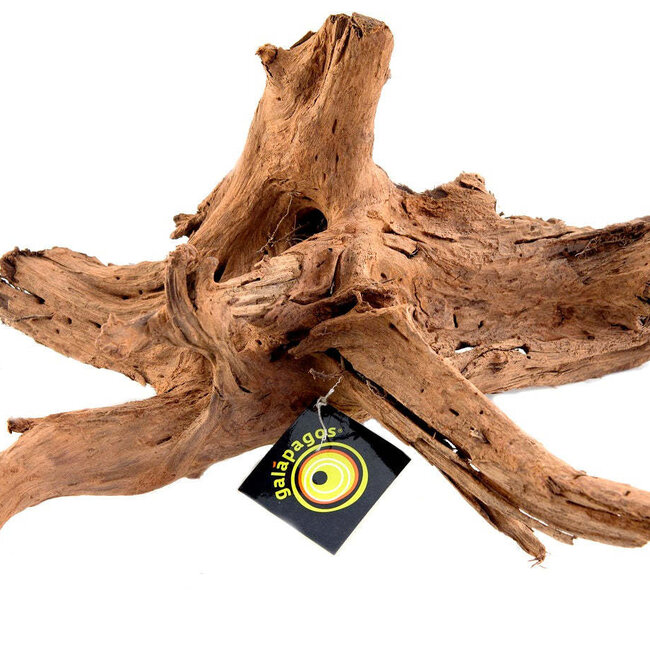 Galapagos Galapagos Sinkable Driftwood 14-16"