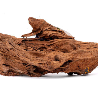 Aquaglobe Aquaglobe Malaysian Driftwood S (6 - 8")