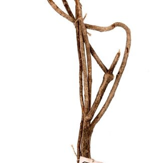 NewCal NewCal Vine Branches 20-24" (5-Pack)