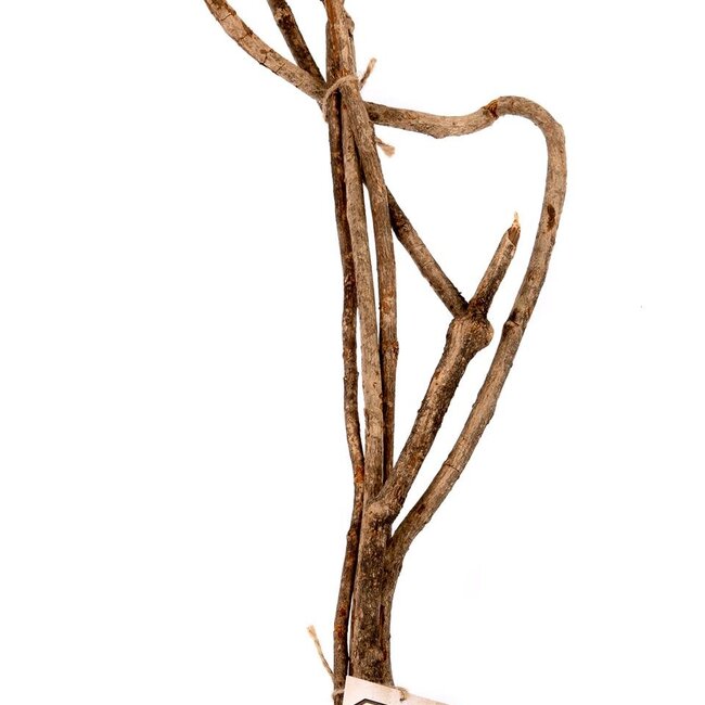 NewCal NewCal Vine Branches 20-24" (5-Pack)