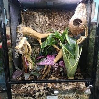 Roonami Custom Habitat Kit 18x18x24" ReptiZoo Terrarium