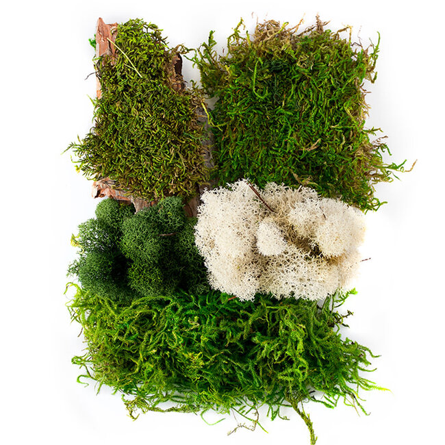 Moss Mix Delaware 2oz Bag