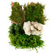 Moss Mix Delaware 2oz Bag