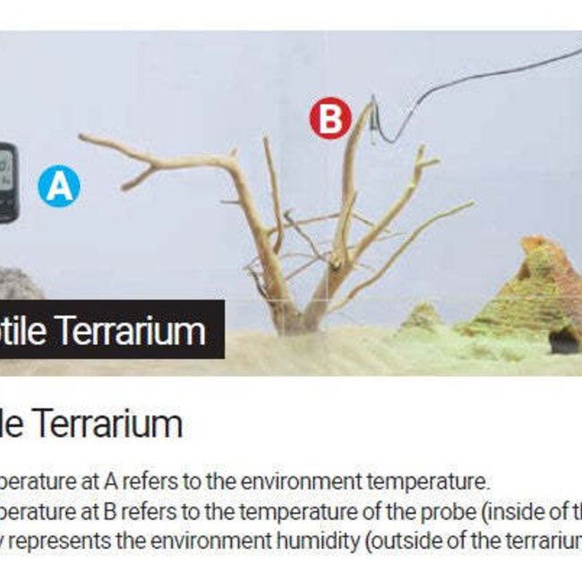 ReptiZoo ReptiZoo Digital Alarm Thermo-Hygrometer w/Probe