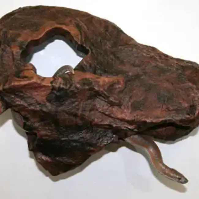 Pet-Tekk Magnaturals Medium Hideaway Earth