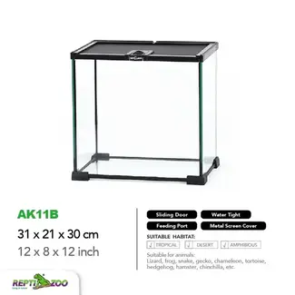 ReptiZoo Mini 12.2" x 8.3" x 12" Terrarium Glass