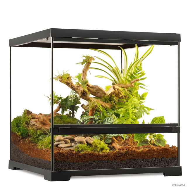 Exo Terra Pro 18x18x18" Small Wide Terrarium