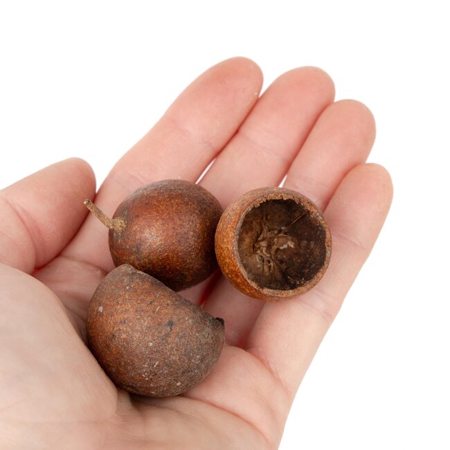 NewCal Kuchila Pods 5 Pack