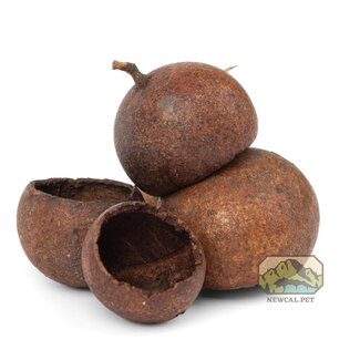 NewCal Kuchila Pods 5 Pack