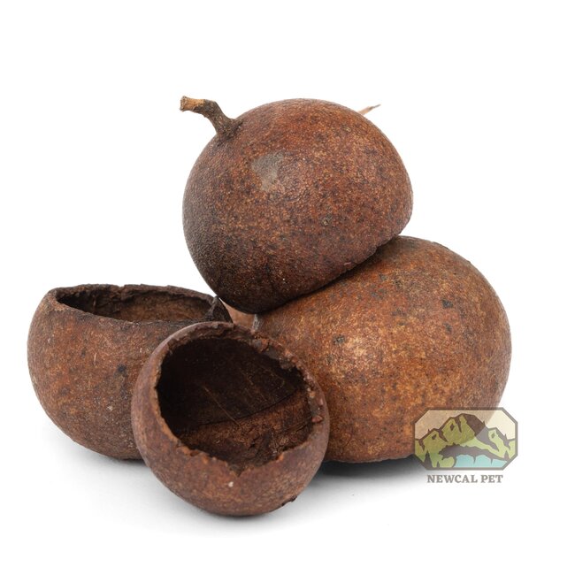 NewCal Kuchila Pods 5 Pack