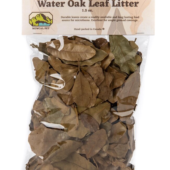 NewCal Water Oak 0.5 oz