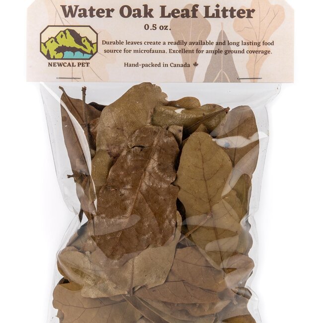NewCal Water Oak 0.5 oz