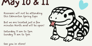 May 10 and 11 Weekend