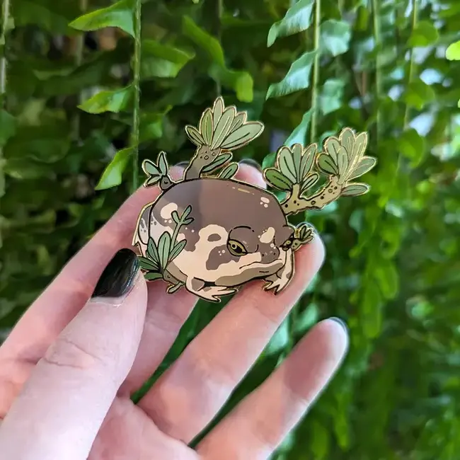 Desert Rain Frog Pin 2.5" Frog Tree Games