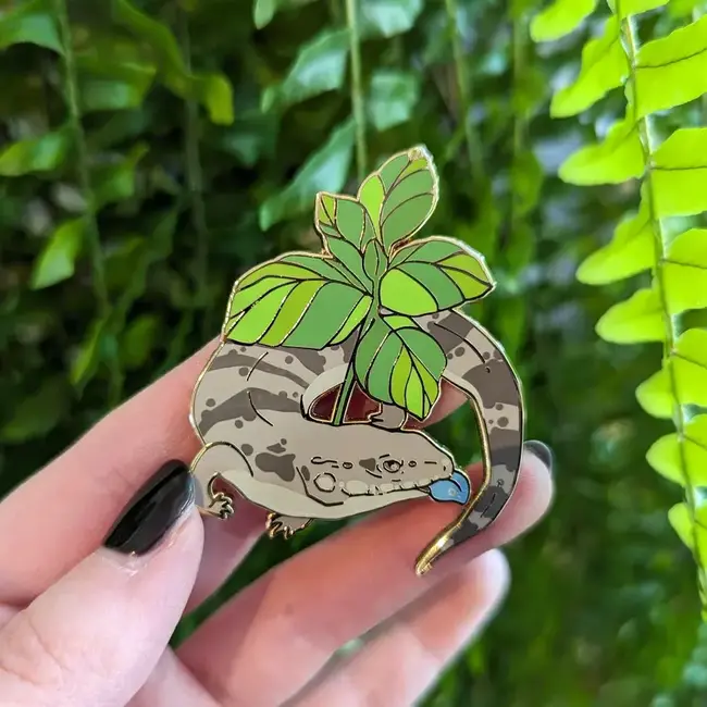 Blue Tongue Skink 2.5" Pin by Frog Tree Games
