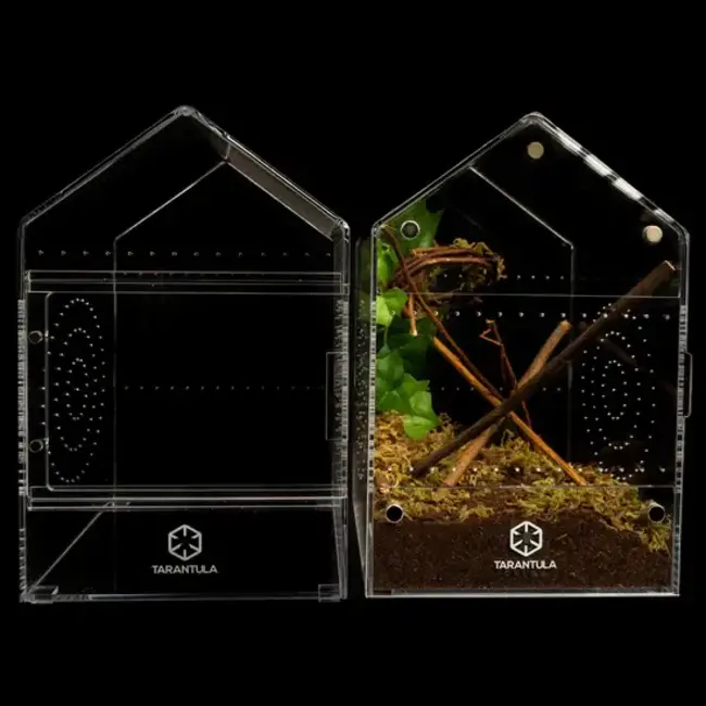 Tarantula Cribs 6"x6"x9" Canopy Sliding Door Enclosure Tarantula Cribs