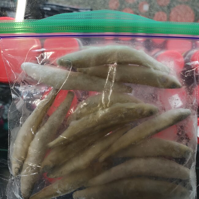 Frozen Silversides (Lake Smelt) 113g