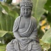 Buddah Statue 24 x 15cm