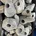 Feather Rock w/ holes (pick)