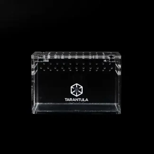 Tarantula Cribs 3x2x2" Terrestrial Sling Crib Tarantula Cribs