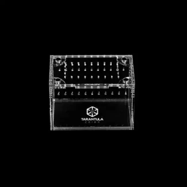 Tarantula Cribs 3x2x2" Terrestrial Sling Crib Tarantula Cribs