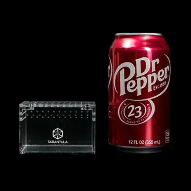 Tarantula Cribs 3x2x2" Terrestrial Sling Crib Tarantula Cribs