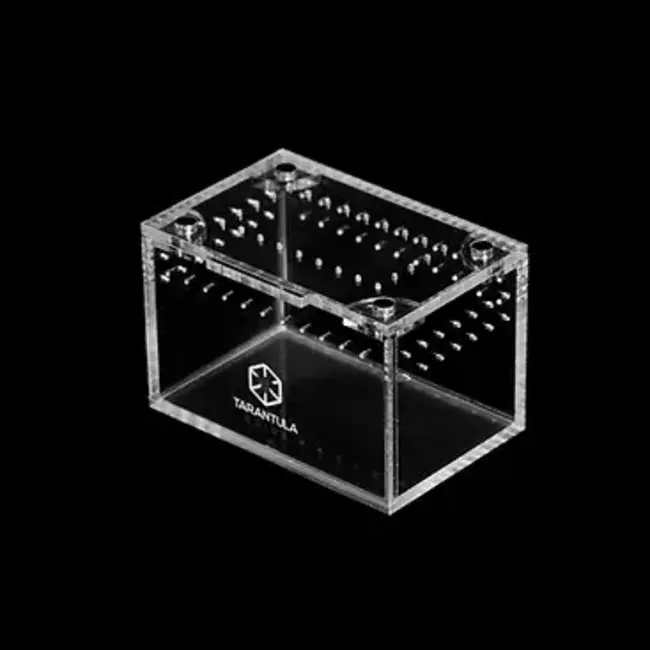Tarantula Cribs 3x2x2" Terrestrial Sling Crib Tarantula Cribs
