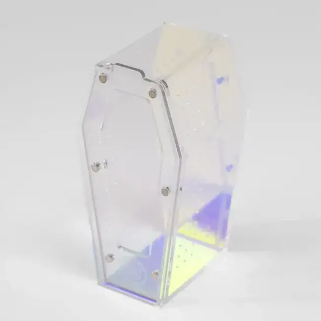 Tarantula Cribs Coffin 10''x5''x5'' Medium Iridescent Web Candy Special