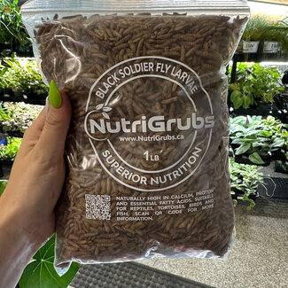 Dried NutriGrubs Black Solidier Fly Larvae 1lb Bag