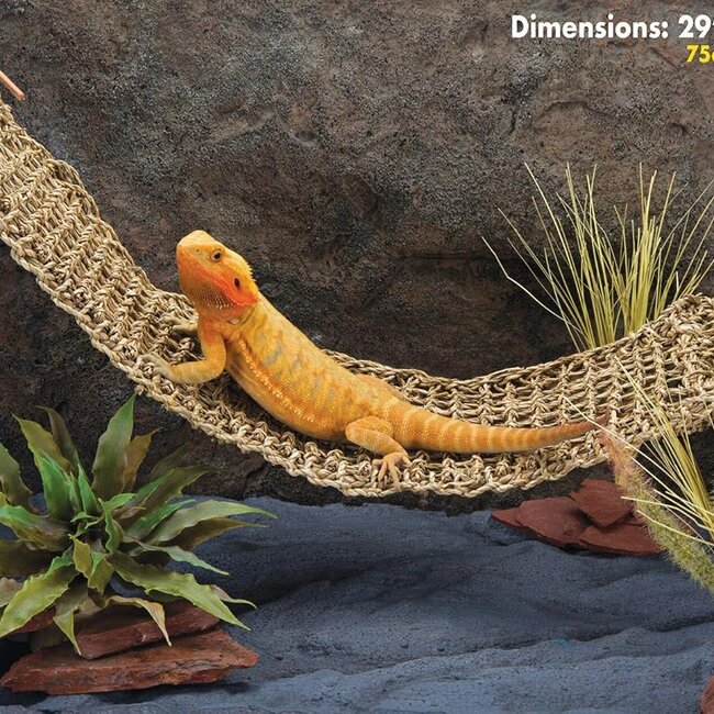 Penn Plax Natural Lizard Lounger - X-Large 29x7