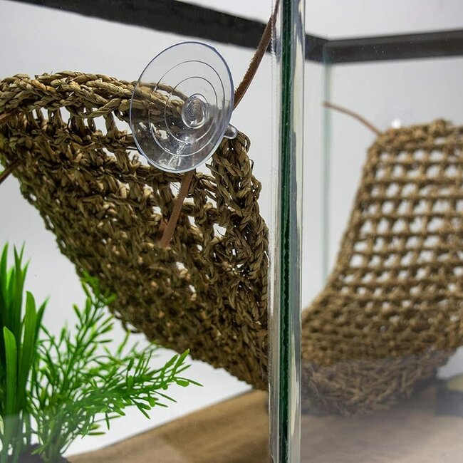 Penn Plax Natural Lizard Lounger - X-Large 29x7