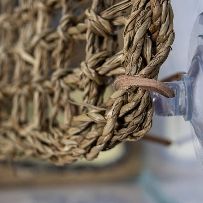 Penn Plax Natural Lizard Lounger - X-Large 29x7