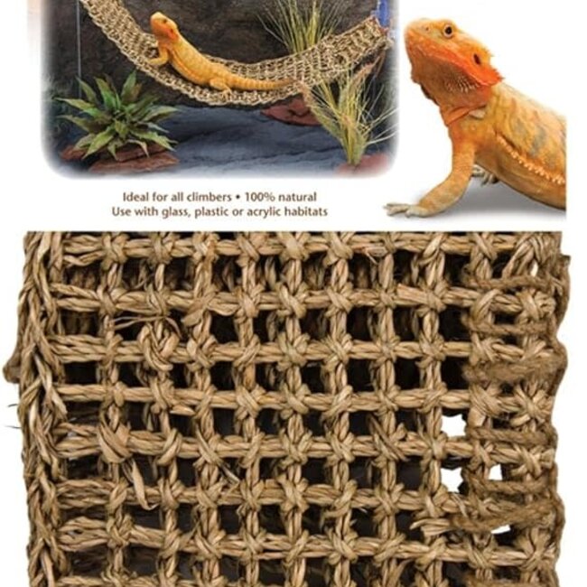 Penn Plax Natural Lizard Lounger - X-Large 29x7